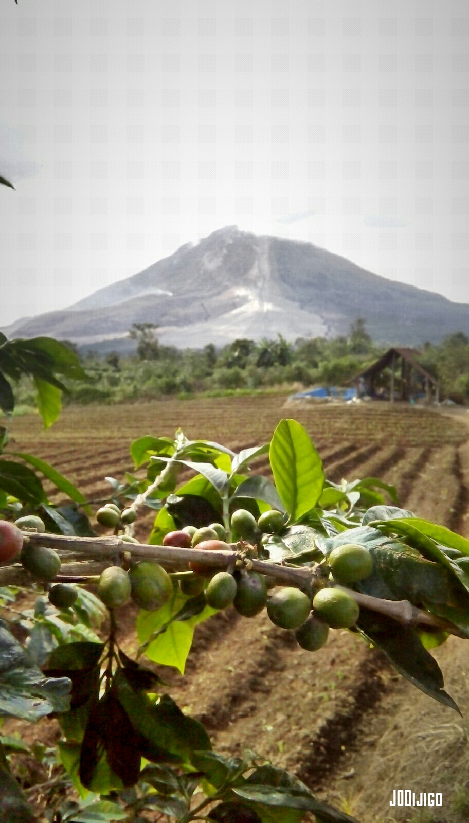 Gunung Sinabung dilihat dari Desa Gung Pinto