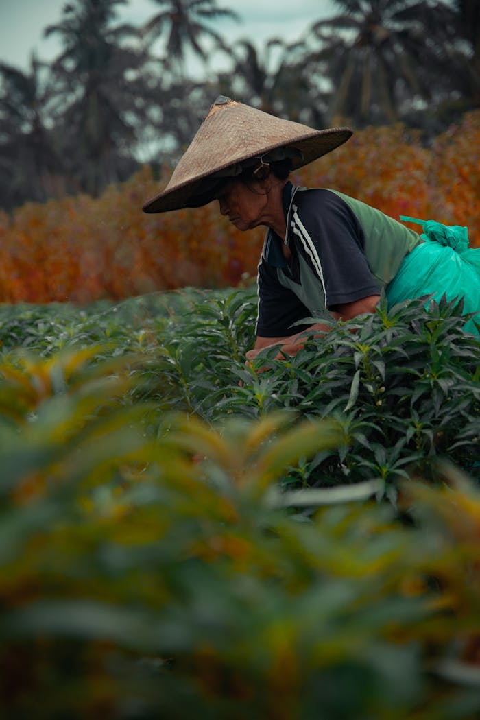 A Balinese farmer in traditional attire tends to crops in a vibrant green field, surrounded by lush foliage.